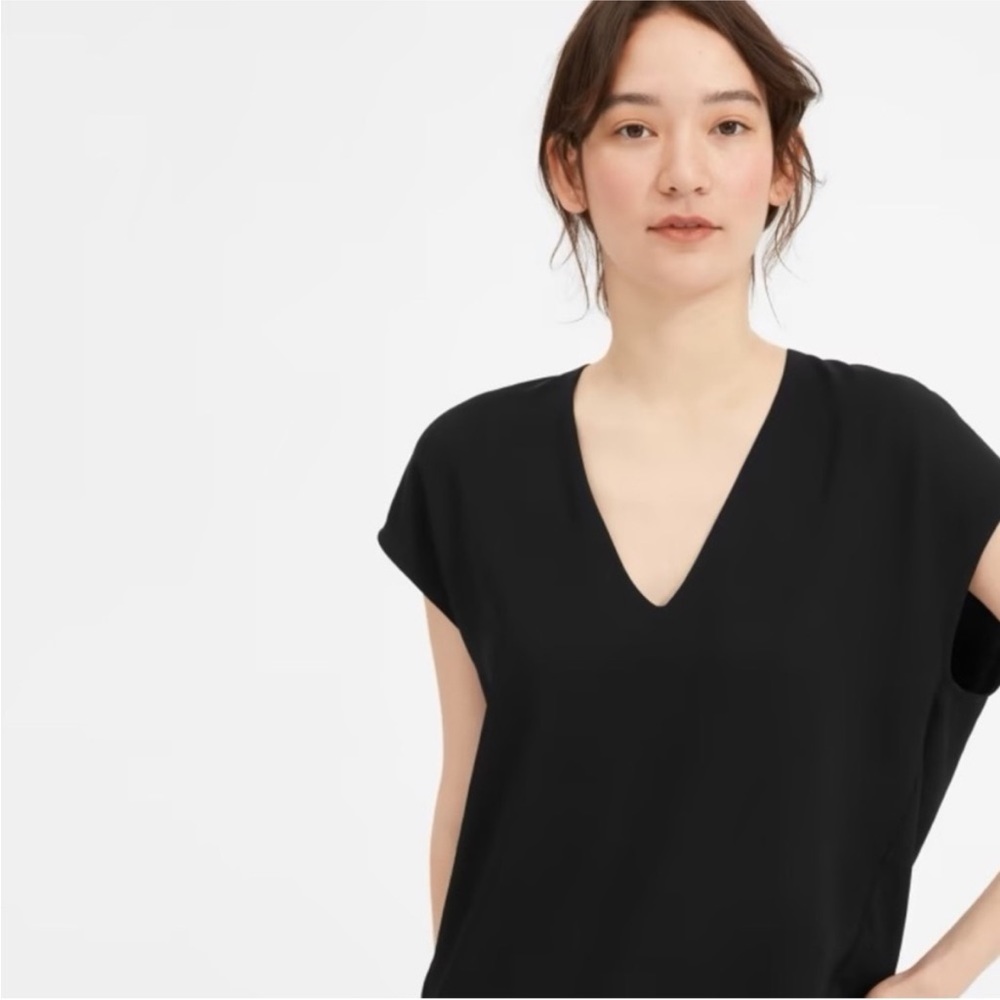 Everlane Japanese Goweave v neck shirt